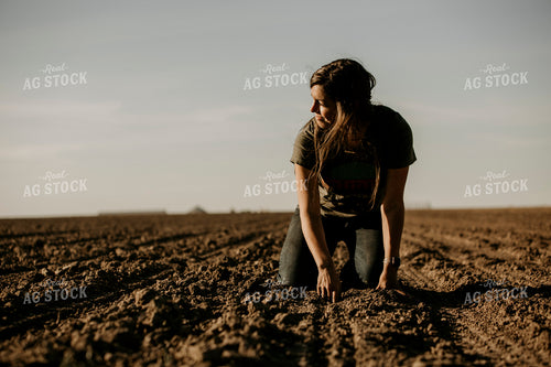 Planting 2788