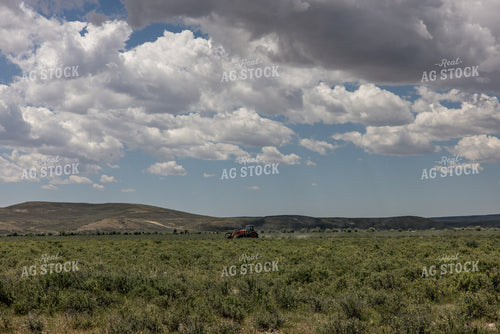 Clearing Brush 304107