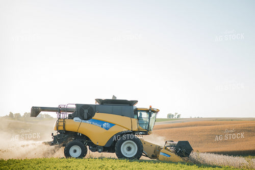 Soybean Harvest 215103
