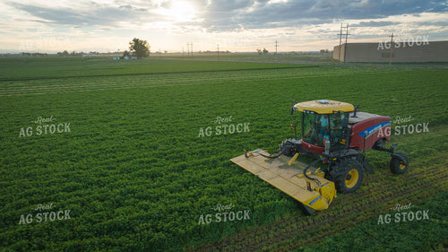 Cutting Alfalfa Hay Drone 56332