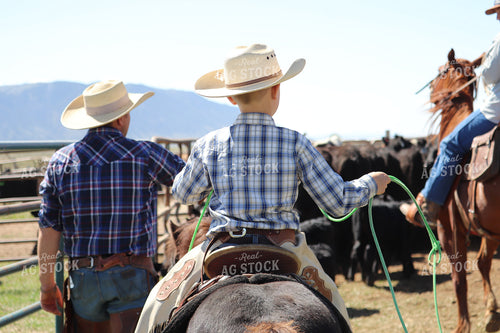 Working Cattle 102130