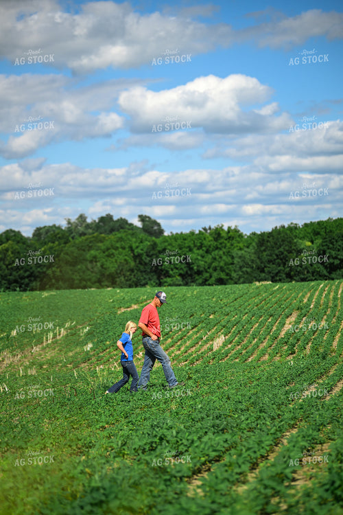 Farmer Scouting Soybean Field With Daughter 191325