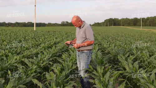 Farmer Checking Corn Field 9192