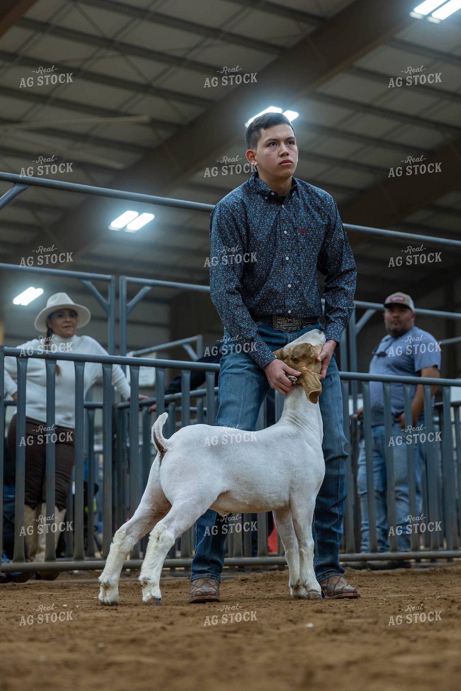 Showing Goats  98047