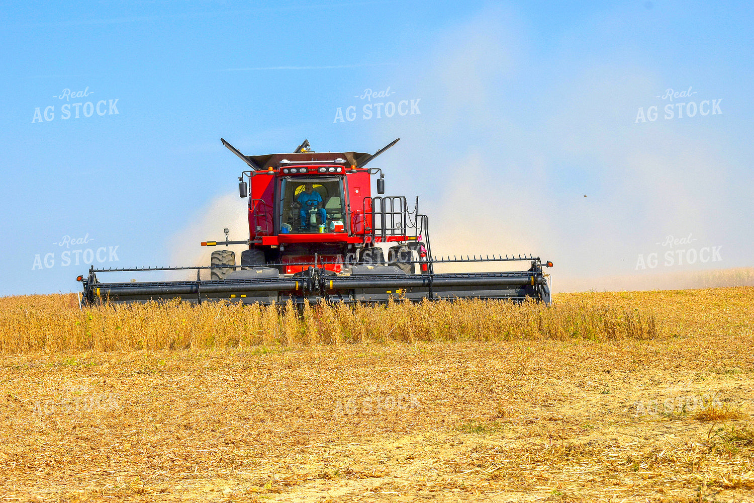 Combining Soybeans 84034