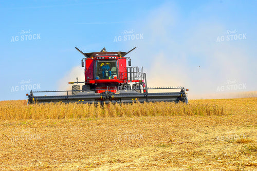 Combining Soybeans 84034