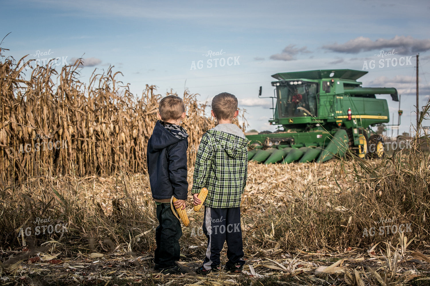Farm Kids Watching Corn Harvest 250083