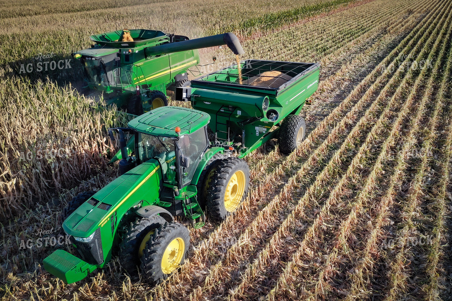 High Moisture Shell Corn Harvest Drone 56176