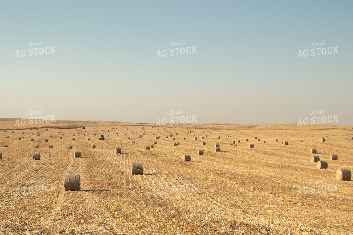 Corn Bales 223025