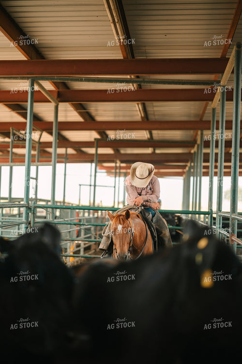Rancher on Horseback in Cattle Sorting Pins 125140