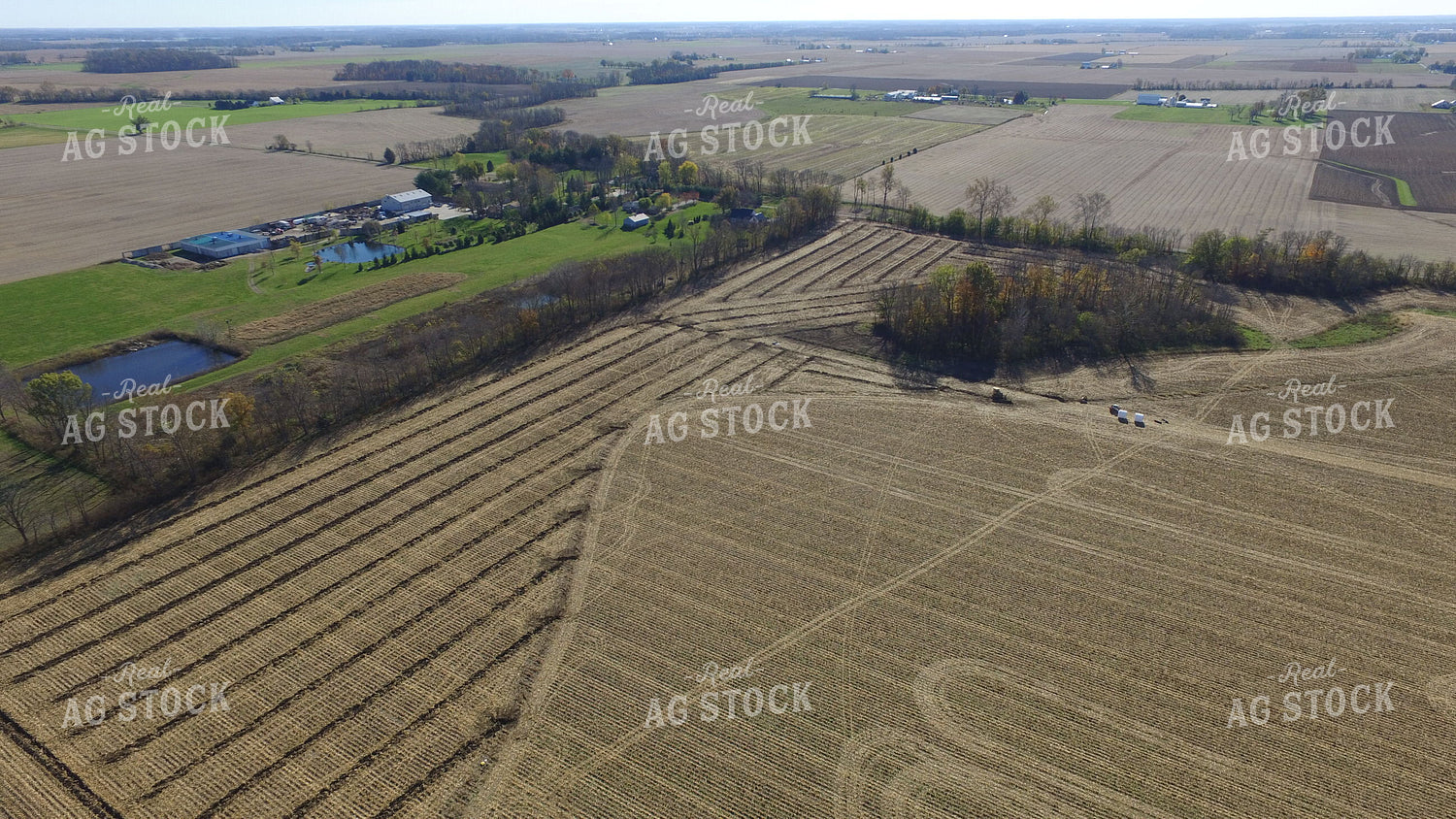 Aerial View of Farmland 85047