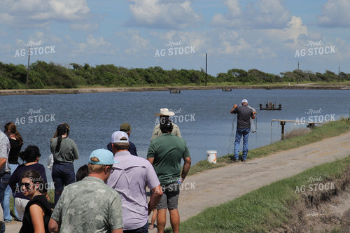 Visitors at Shrimp Ponds 102178