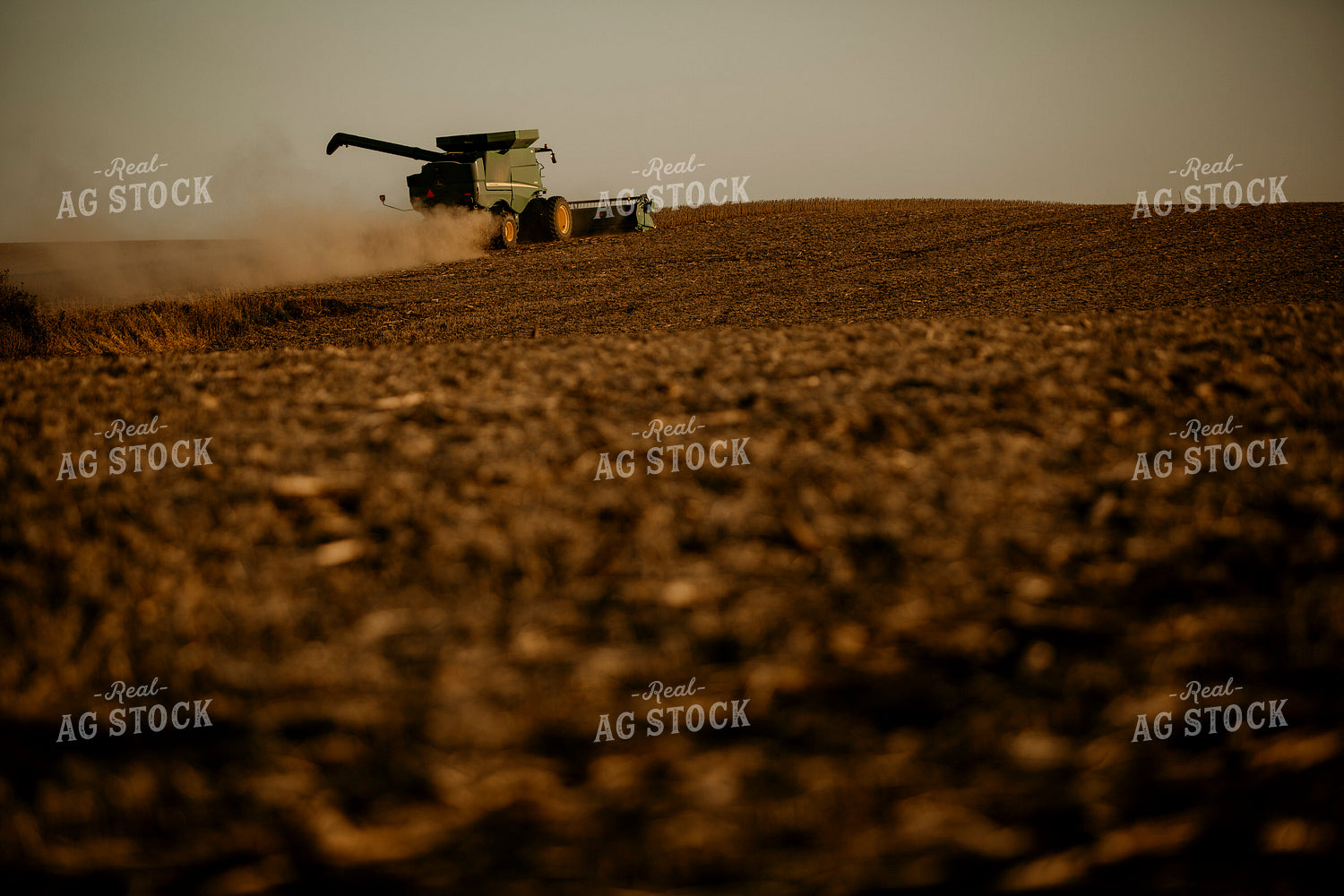 Harvest 2565