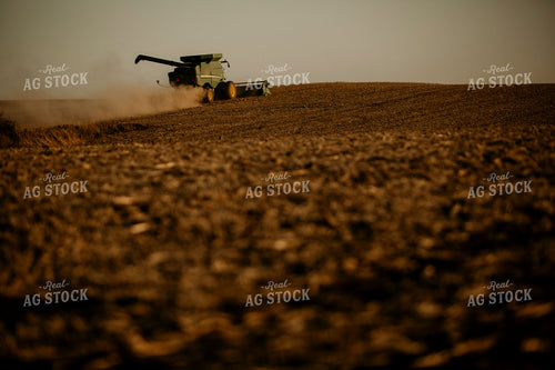 Harvest 2565