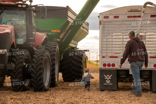 Farmer with Grandson in Bean Field 25678