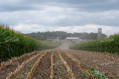 Silage Harvest 50418
