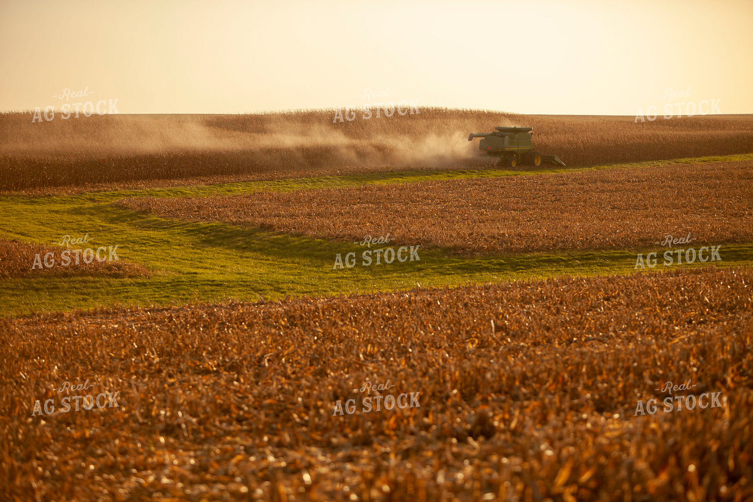 Harvest 1775
