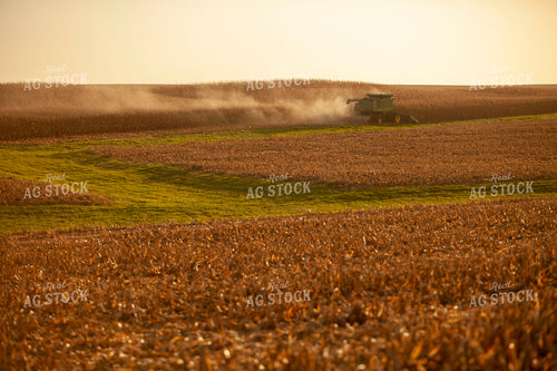 Harvest 1775