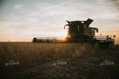 Soybean Harvest at Dusk 7000