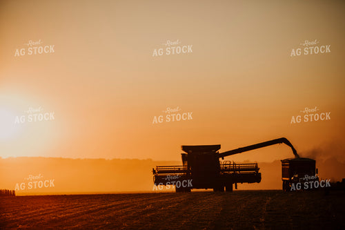 Harvest 2601