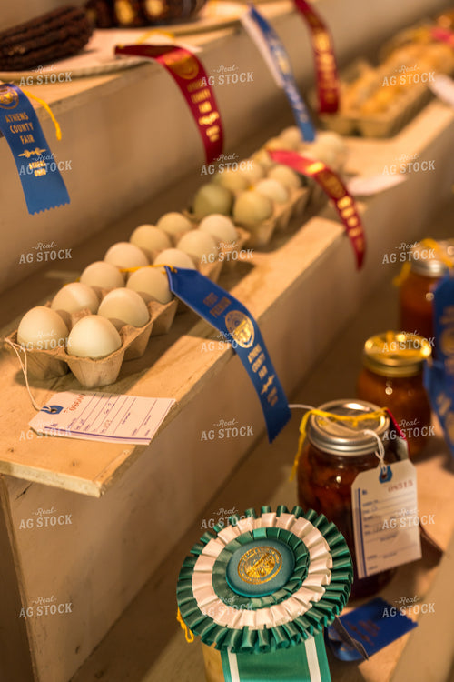 County Fair Open Show 295087