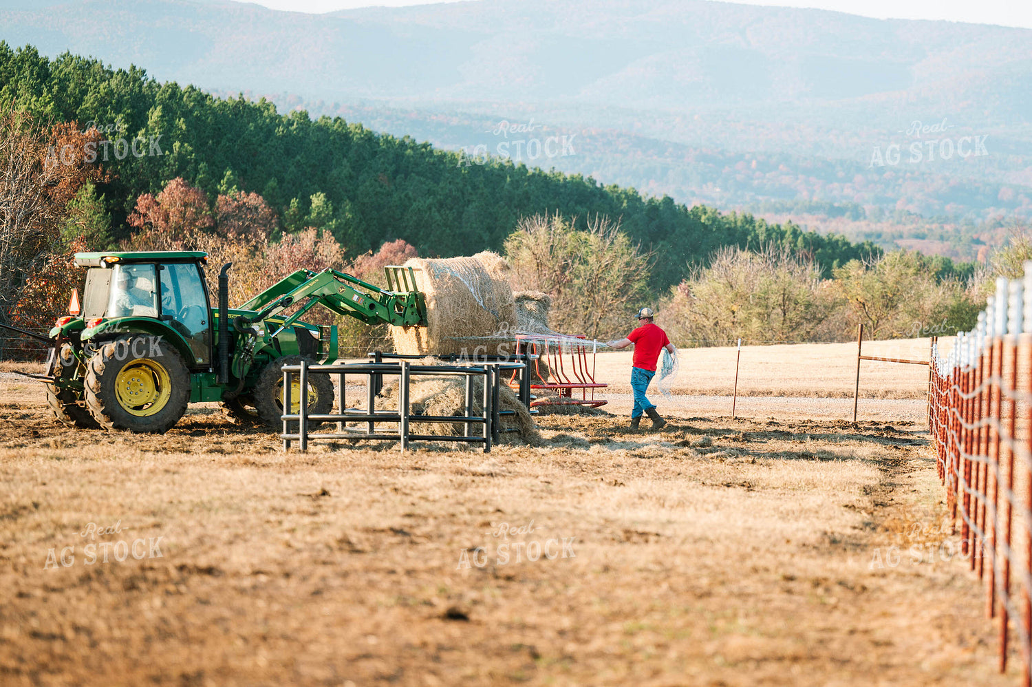 Putting out Hay in the Bale Feeder 125226