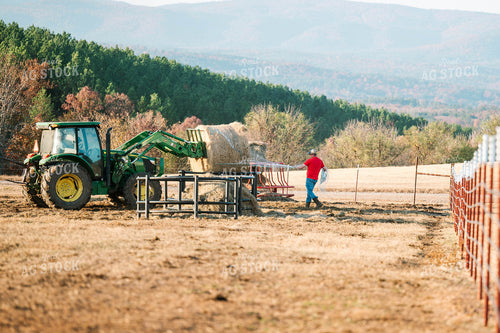 Putting out Hay in the Bale Feeder 125226