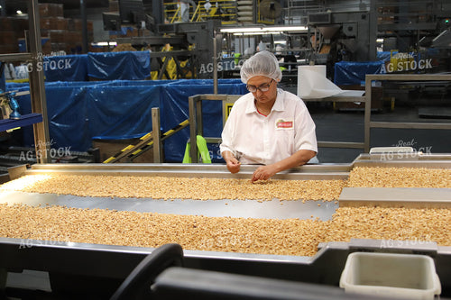 Sorting Almonds 102117