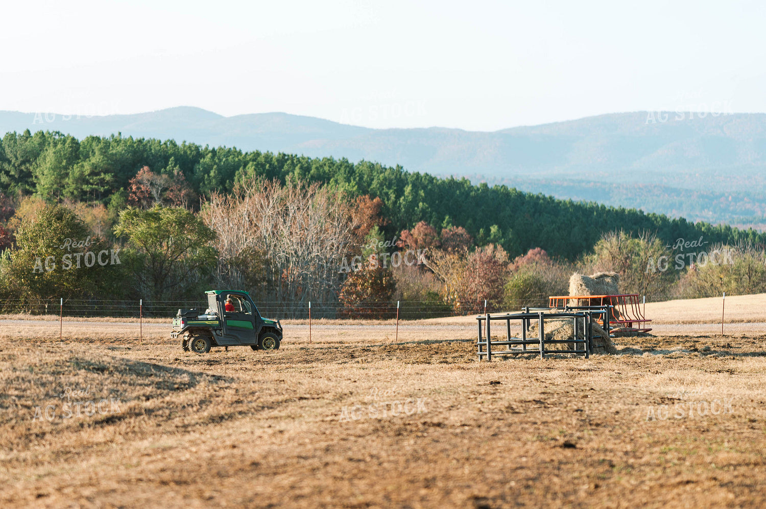 Farmer in Pasture 125224