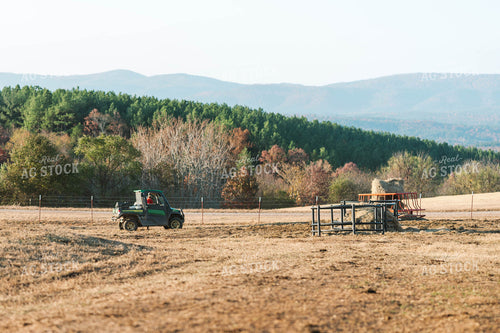 Farmer in Pasture 125224
