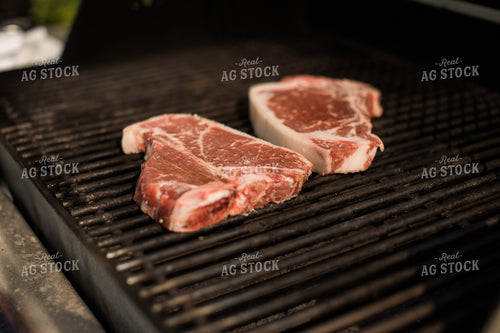 Farm Wife Grilling Steak 4415