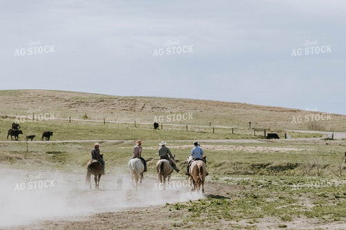 Ranchers in Cattle Pasture 77083