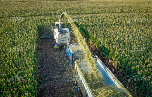 Silage Harvest Drone 56238
