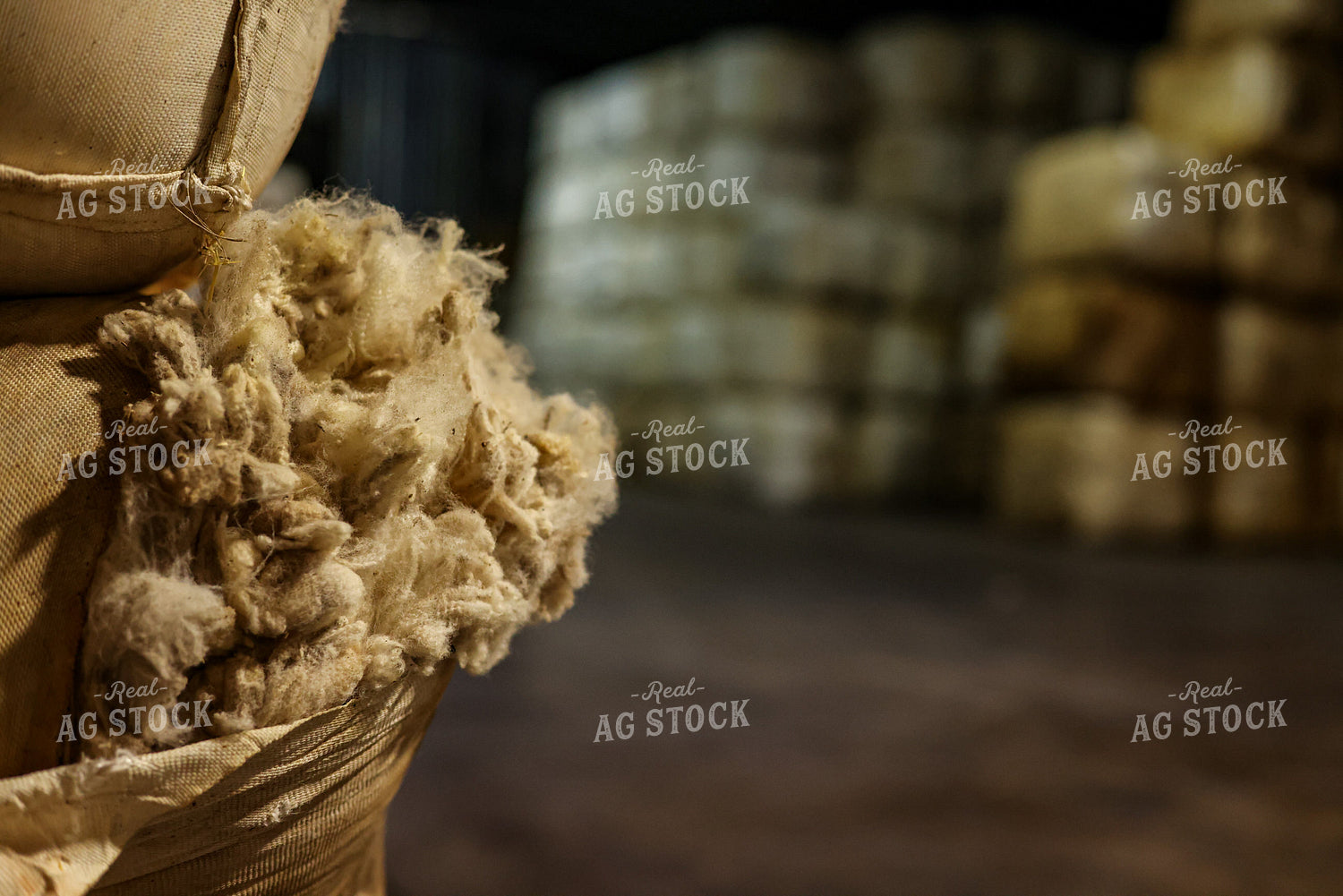 Wool Bales 261137