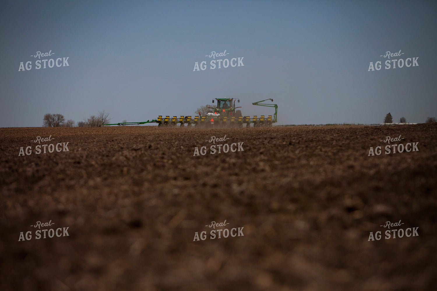 Planting 1988