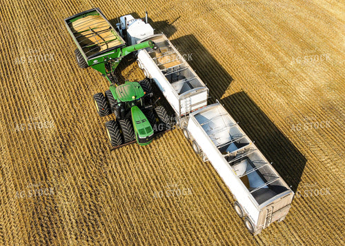 Harvest 187037