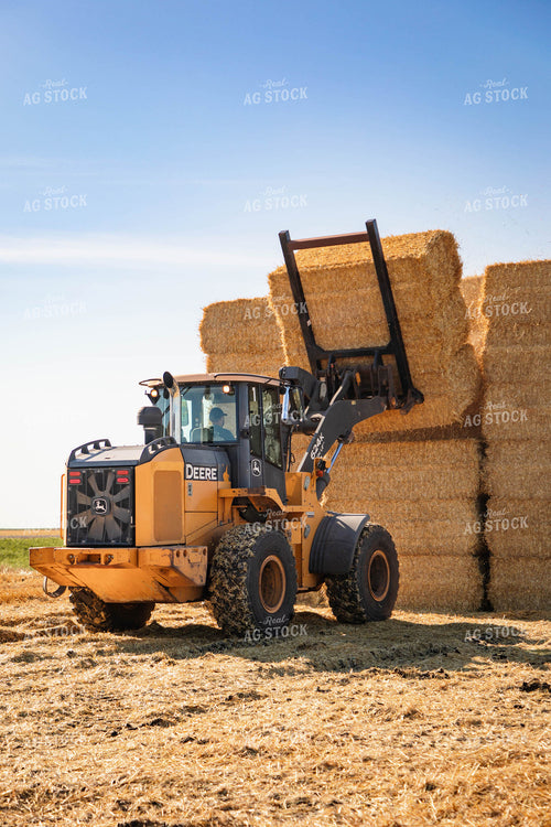 Stacking Wheat Straw Bales 152579