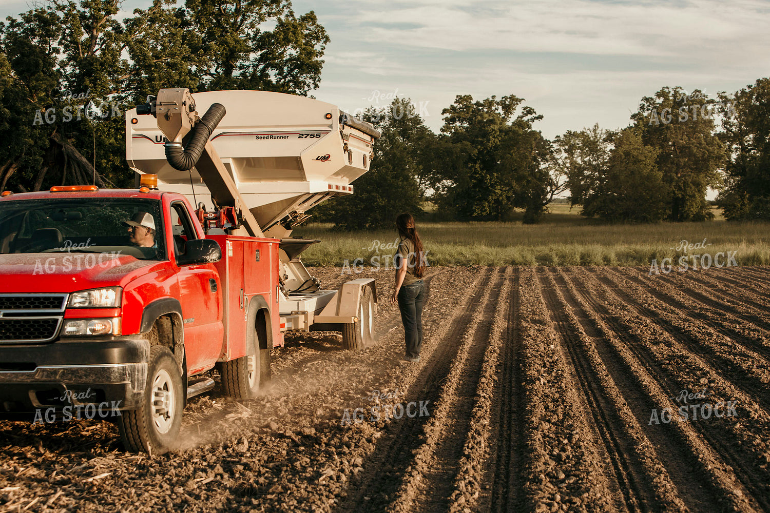 Planting 2798