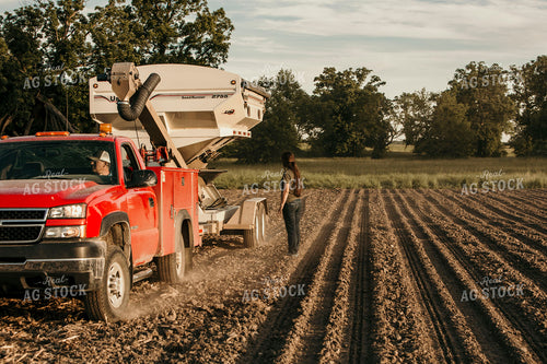 Planting 2798