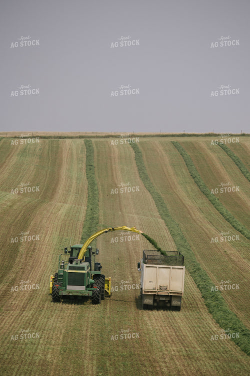 Harvesting Hay Silage 70070