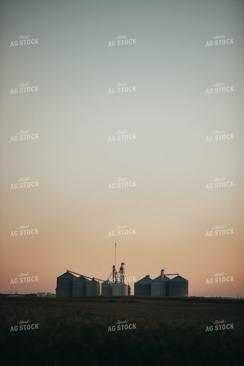Grain Elevator with Soybean Field 4767