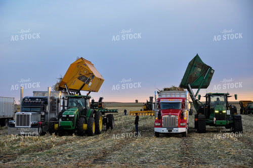 Seed Corn Harvest 103047