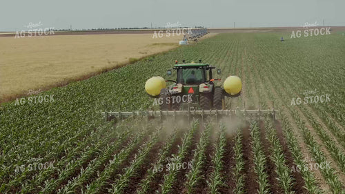 Ripping Corn 239311
