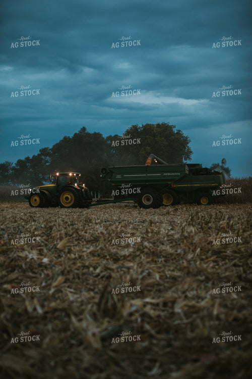 Corn Harvest 6710