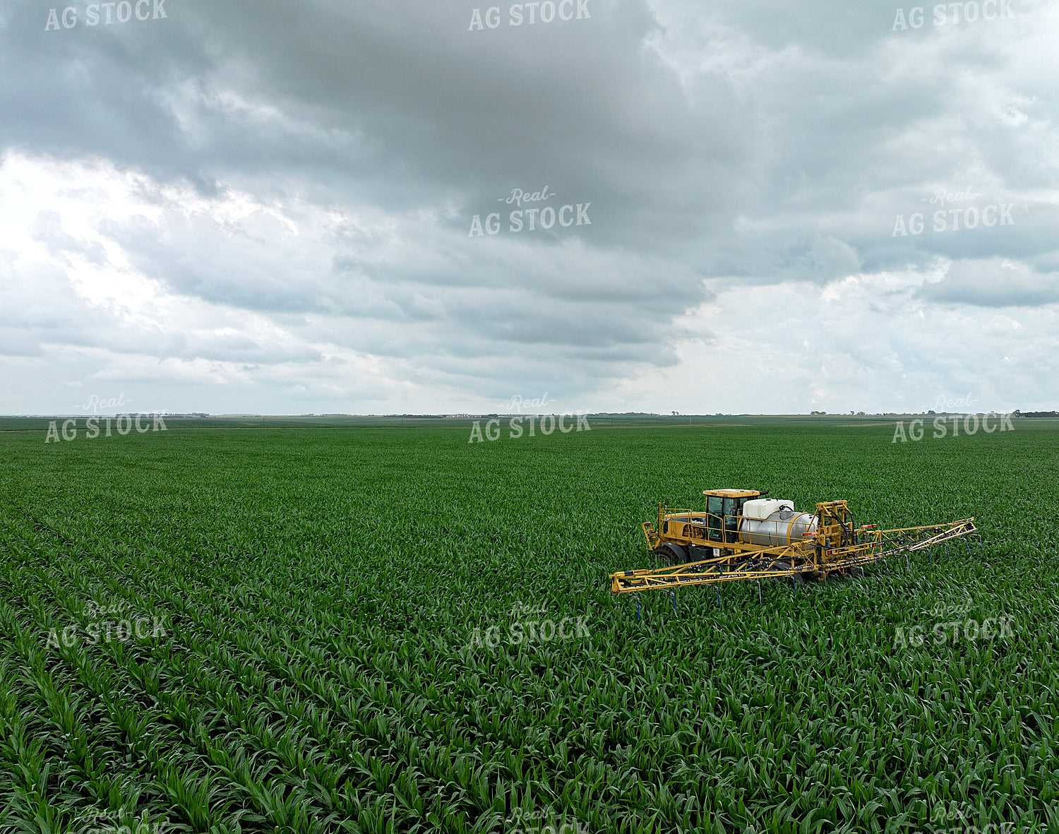 Spraying Corn Field 141595