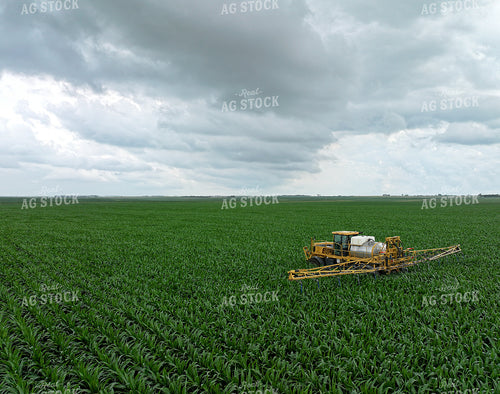 Spraying Corn Field 141595