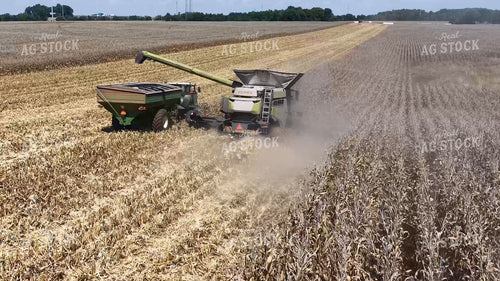 Corn Harvest 79883