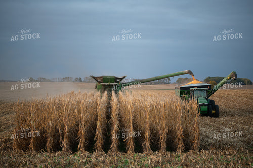 Combine Harvesting Corn and Loading Grain Cart 76089