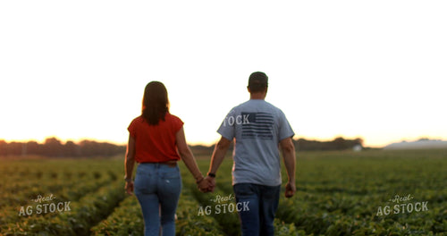Farm Husband and Wife Walking Through Soybean Field 6498