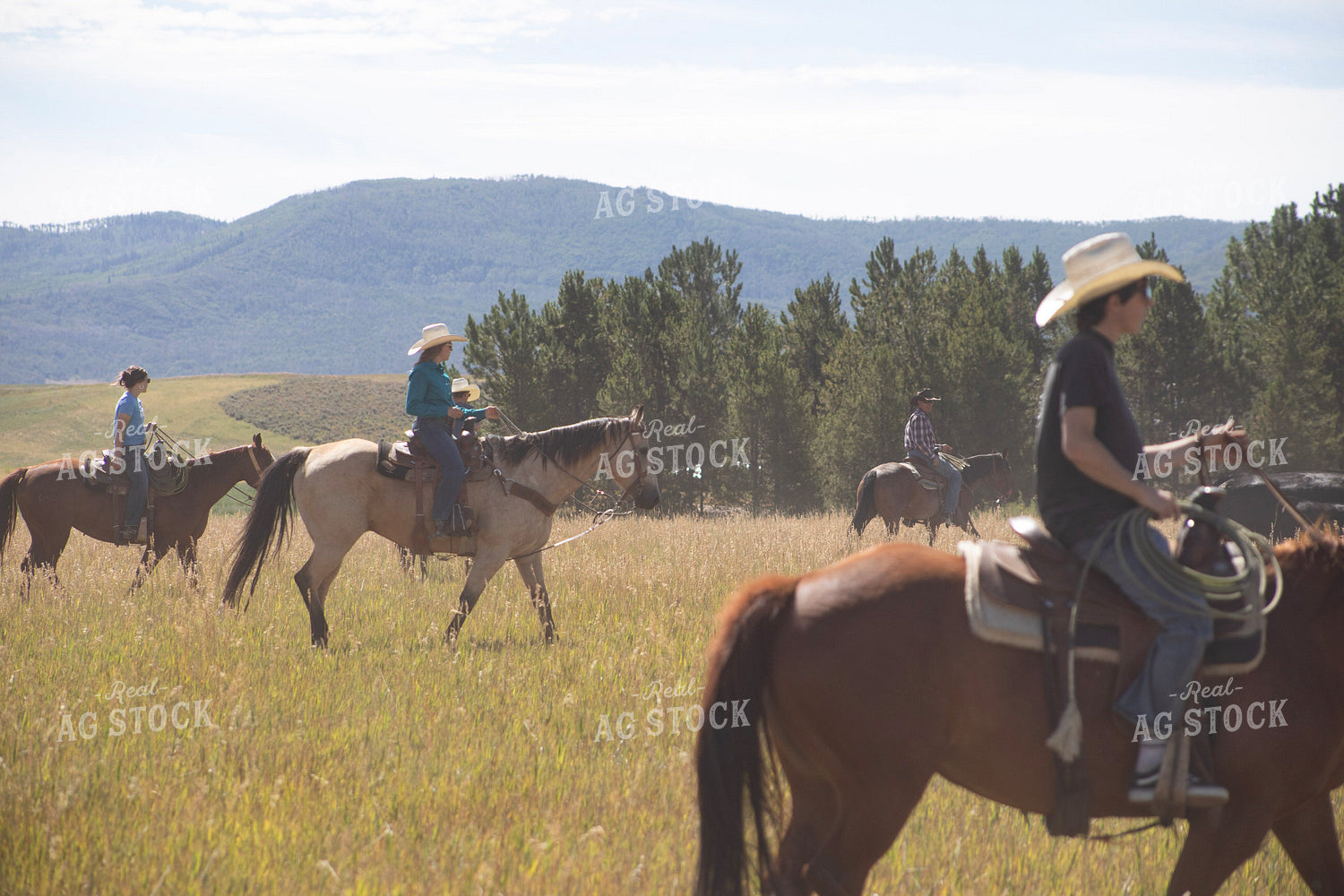 Cowboys and Cowgirls on Horseback 117367